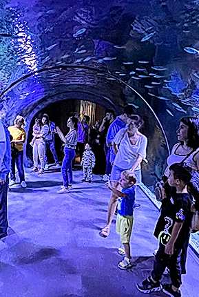 Rehberli Acente Turları