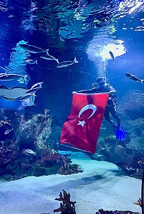 Su Altı Bayrak Açma Gösterileri