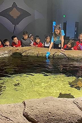 Rehberli Okul Gezileri